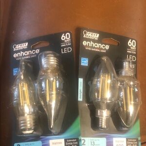 FEIT Electric LED Light Bulbs - Clear and Silver